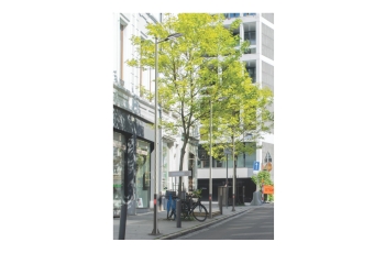 Grooved Steel Road & Garden Lighting Pole